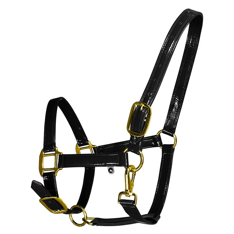 Horse Halters Made from Soft Microfiber Leather Equestrian Equipment Set with Horse Bridle, Head Collar, and Stable Strap