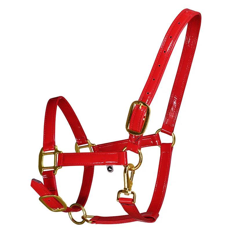 Horse Halters Made from Soft Microfiber Leather Equestrian Equipment Set with Horse Bridle, Head Collar, and Stable Strap