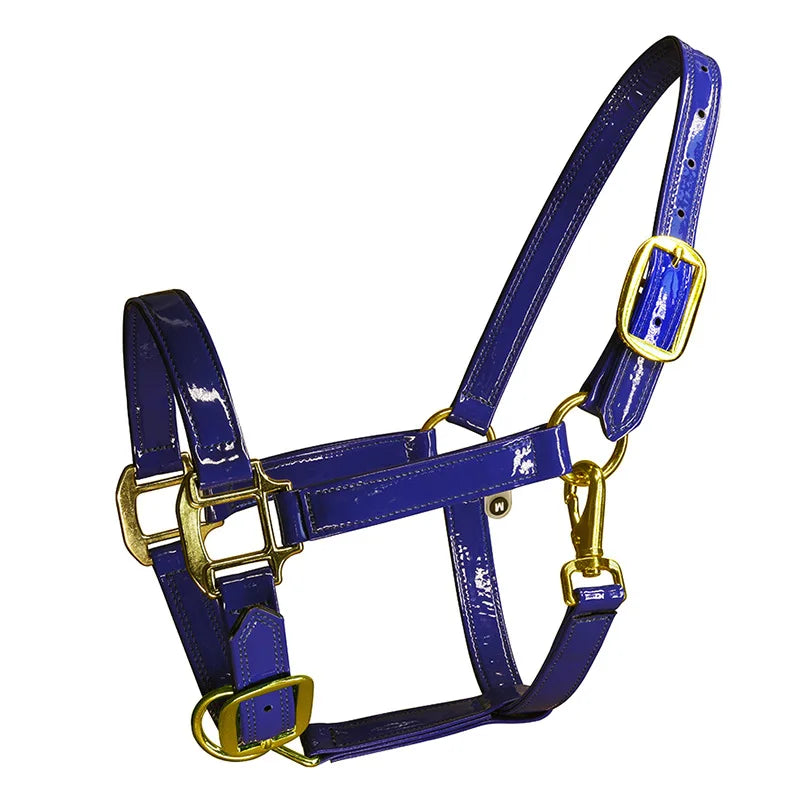 Horse Halters Made from Soft Microfiber Leather Equestrian Equipment Set with Horse Bridle, Head Collar, and Stable Strap