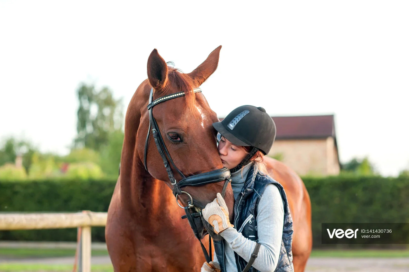 2025 Horse Halter Bridle PVC Soft Padded Headstall Head Collar Horse Riding Accessories Ergonomic Comfortable Halters