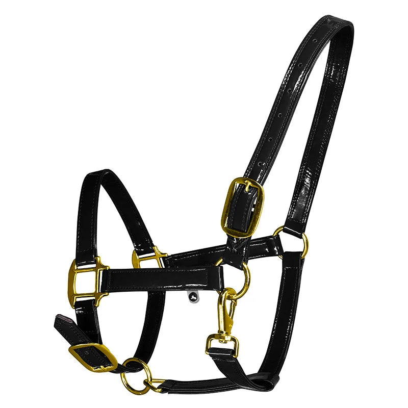 Horse Halters Made from Soft Microfiber Leather Equestrian Equipment Set with Horse Bridle, Head Collar, and Stable Strap